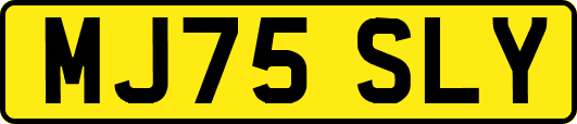 MJ75SLY