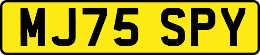 MJ75SPY