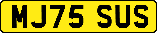 MJ75SUS