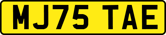 MJ75TAE