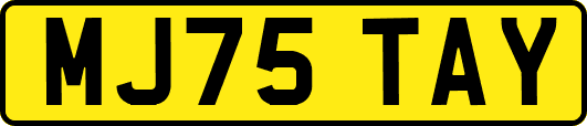 MJ75TAY