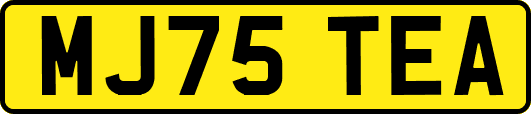 MJ75TEA