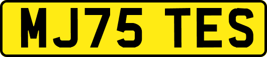 MJ75TES