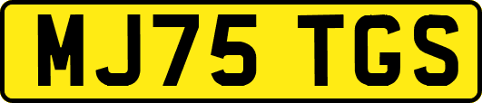 MJ75TGS