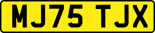 MJ75TJX
