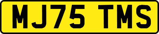MJ75TMS