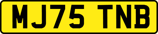 MJ75TNB