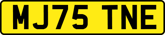MJ75TNE