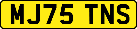 MJ75TNS