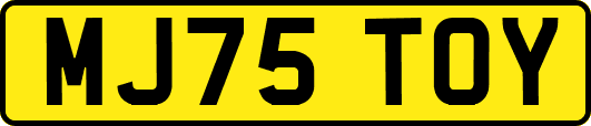 MJ75TOY