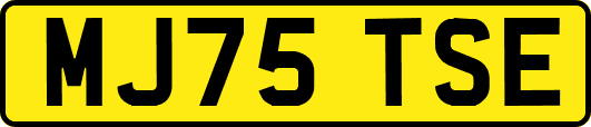 MJ75TSE