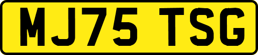 MJ75TSG