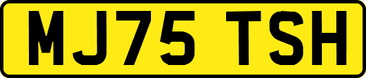 MJ75TSH