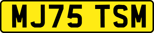 MJ75TSM