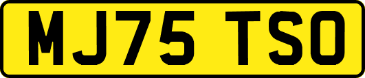 MJ75TSO