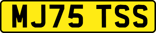 MJ75TSS