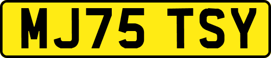 MJ75TSY