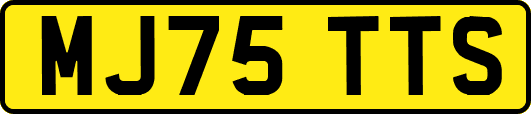 MJ75TTS