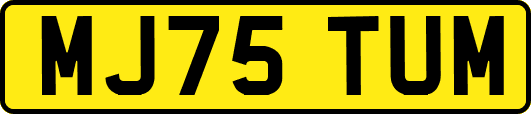 MJ75TUM