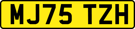 MJ75TZH