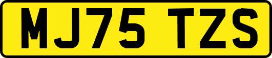 MJ75TZS