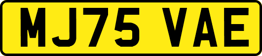MJ75VAE