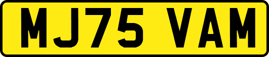 MJ75VAM