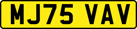 MJ75VAV