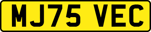 MJ75VEC