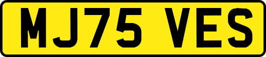MJ75VES
