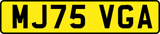 MJ75VGA