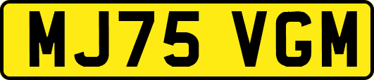MJ75VGM