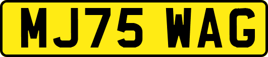 MJ75WAG