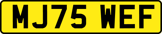MJ75WEF