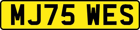 MJ75WES