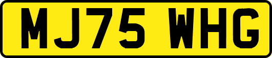 MJ75WHG
