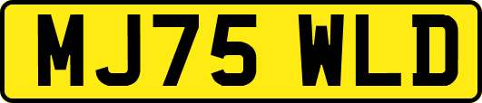 MJ75WLD