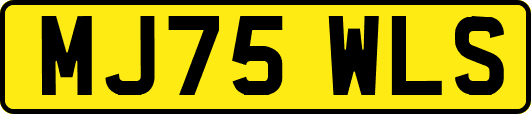 MJ75WLS