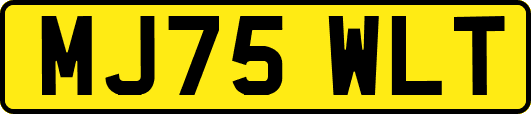 MJ75WLT