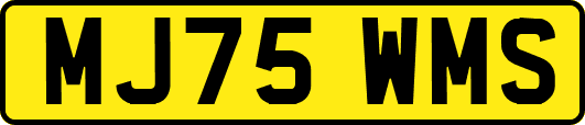 MJ75WMS