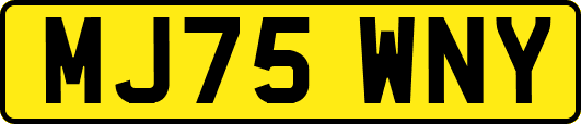 MJ75WNY