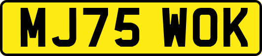 MJ75WOK