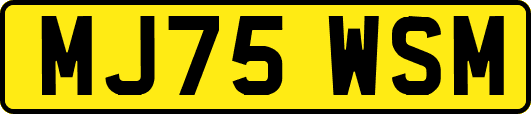 MJ75WSM