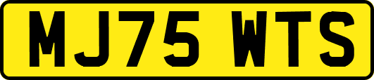 MJ75WTS