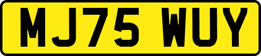 MJ75WUY