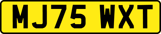 MJ75WXT