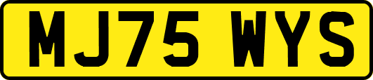 MJ75WYS