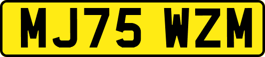 MJ75WZM