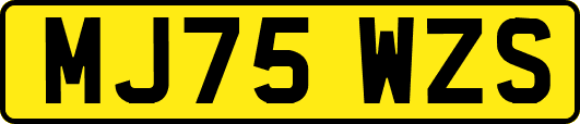 MJ75WZS