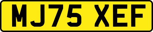MJ75XEF